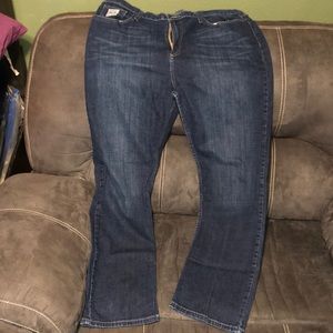 Cinch Carter Jeans
